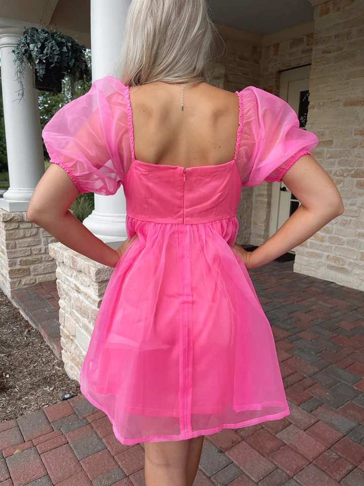 Organza Pink Baby Doll Dress,Pink Birthday Dress,Pink Homecoming Dress Y2060