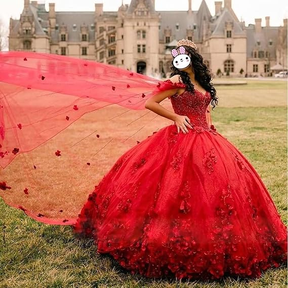Pink Sweet 16 Dress,Pink Ball Gown With 3D Flowers,Pink Princess Dress Y2337