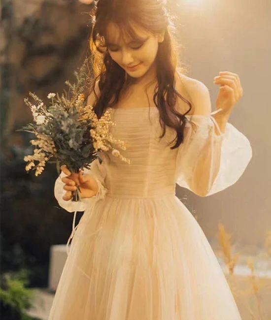 Champagner Tüll langes Ballkleid, Champagner Tüll Abendkleid Y257