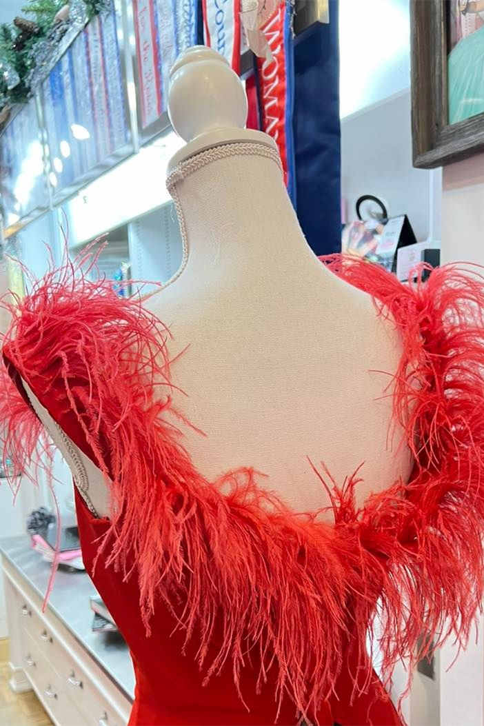 Plunging Neck Red Feather Long Formal Dress with Slit