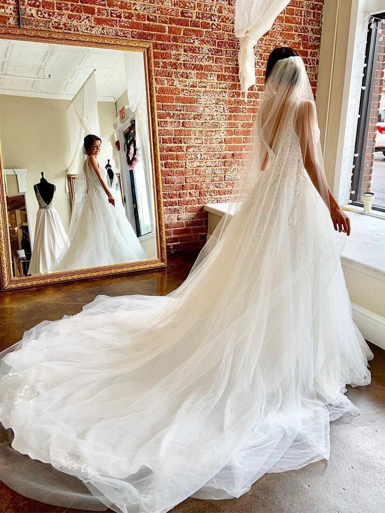 Hermosos vestidos de novia de tul con escote en V, espalda abierta y apliques WD514