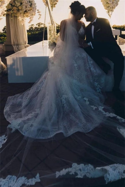 Modern V-neck Sleeveless A-line Wedding Dresses With Lace