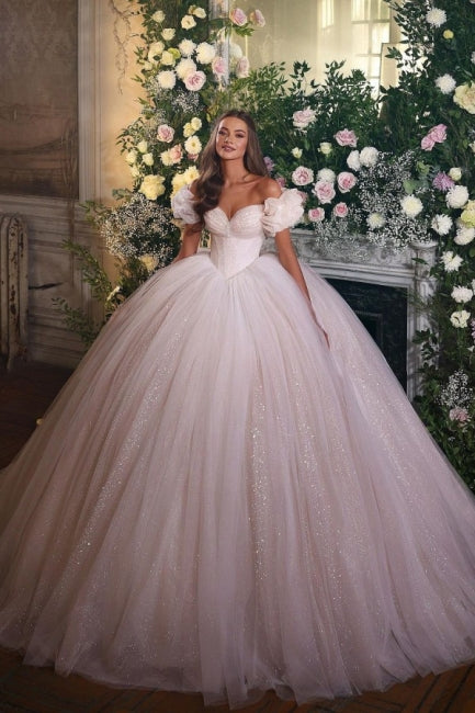 Princess Luxury Wedding Dresses Glitter with Lace