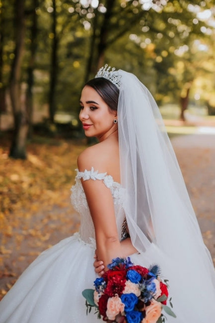 Vintage Princess Off-the-shoulder V-neck Sleeveless Lace Wedding Dresses