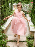 A-Linie Organza Tee-Länge Rosa Kleid (010220821) 