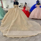 Sparkly Champagner Prinzessin Ballkleid Quinceanera Kleider Elegante Riemen Appliques Süße 16 Kleid Y4150