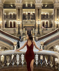 Sexy Burgunderrotes Ballkleid mit V-Ausschnitt und Schlitz, sexy Abendkleid Y6361