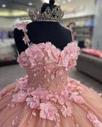 Lujoso vestido de princesa con apliques 3D en color rosa para quinceañeras Y824