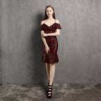 V Neck Little Evening Dress – Elegant Short Socialite Nightclub Women's Party Dress