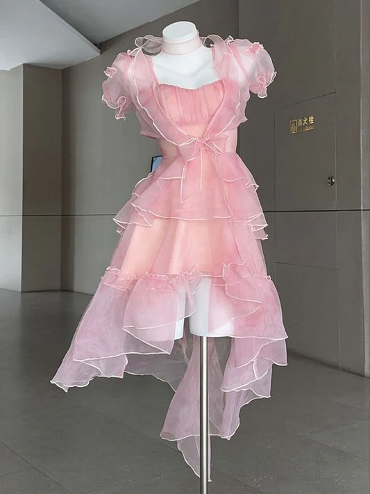 Sexy High Low Rosa Chiffon Homecoming Kleid Geburtstag Outfits Y7664