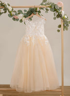 Vestido rosa de tul con encaje y corte en A hasta el suelo (010226589)