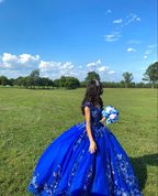 Vestido de quinceañera azul rey con flores 3D y escote corazón para fiesta de graduación de 15 y 16 años Y2821