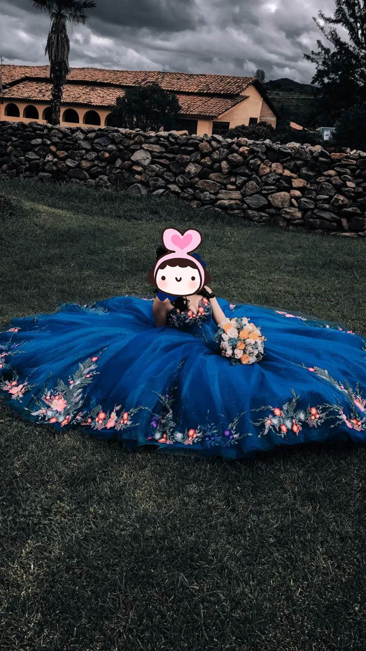 Luxus Marineblau Quinceanera Kleider, Sweet 16 Kleid, Schickes Ballkleid Y4922