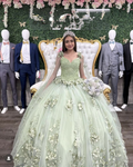 Charmantes Salbeigrünes Ballkleid, Süßes 16 Kleid, 3D Blumen Prinzessinnenkleid Y2321
