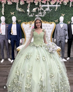 Charmantes Salbeigrünes Ballkleid, Süßes 16 Kleid, 3D Blumen Prinzessinnenkleid Y2321