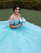 Vestido de princesa de tul con encaje y hombros descubiertos Y3087