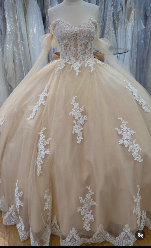 Vestido de fiesta de tul con encaje y corte en A para quinceañeras Y4013