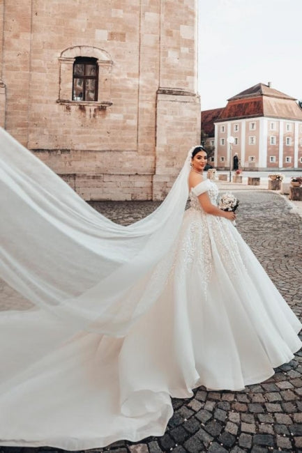 Hermosos vestidos de novia largos de corte A sin mangas y hombros descubiertos con encaje