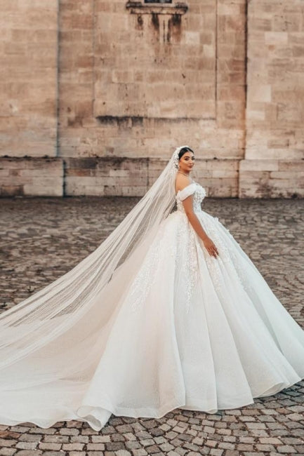 Hermosos vestidos de novia largos de corte A sin mangas y hombros descubiertos con encaje
