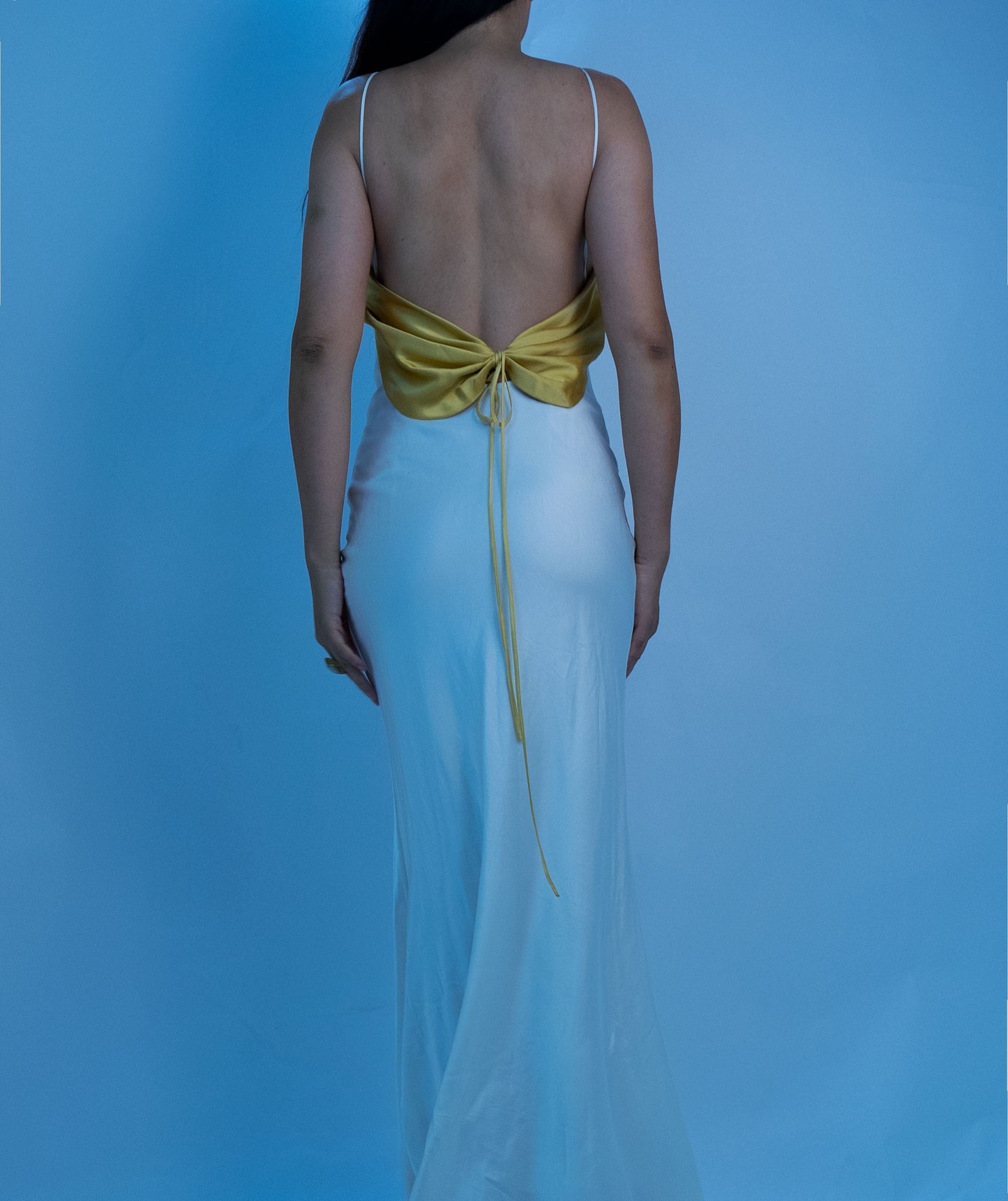 100% Mulberry Silk Seila Dress Gown