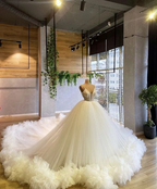 Charmantes A-Linie Tüll Ballkleid Puffy Kleid Sweet 16 Kleid Y6551