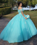 Vestido de princesa de tul con encaje y hombros descubiertos Y3087