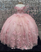 Rosa Off Schulter Ballkleid Quinceanera Kleider 3D Applikationen Korsett Kleid Y6791