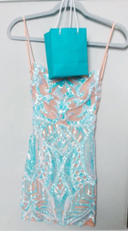 Kurzes Homecoming-Kleid mit Illusions-Pailletten, sexy Partykleid Y1418