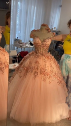 Vestido de fiesta con apliques de flores rosa ruborizado, vestidos de fiesta de tul de corte A, vestidos de quinceañera Y388