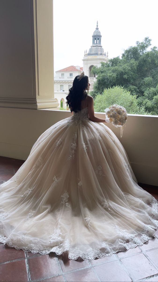 Atemberaubende Spitze Applikationen Ballkleid Brautkleider Prinzessin Kleid Y4593