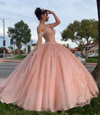 Rosa Quinceanera Ballkleid mit schulterfreiem Spitzenbesatz Y2734
