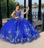 Vestido de quinceañera azul rey con flores 3D y escote corazón para fiesta de graduación de 15 y 16 años Y2821