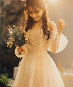 Champagne tulle long prom dress, champagne tulle evening dress Y257