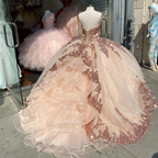 Rose Gold Sweet 16 Quinceanera Kleider Pailletten Appliques Schatz Ballkleider Y401
