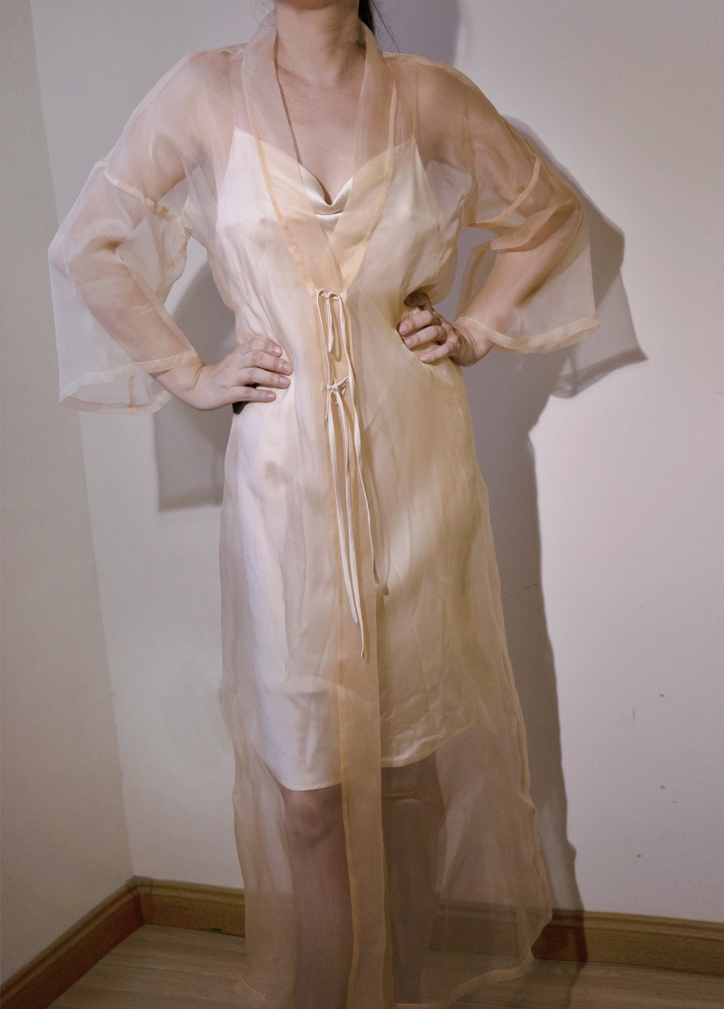 SHEER SILK ORGANZA COVER-UP