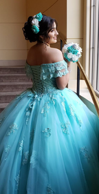 Vestido de princesa de tul con encaje y hombros descubiertos Y3087