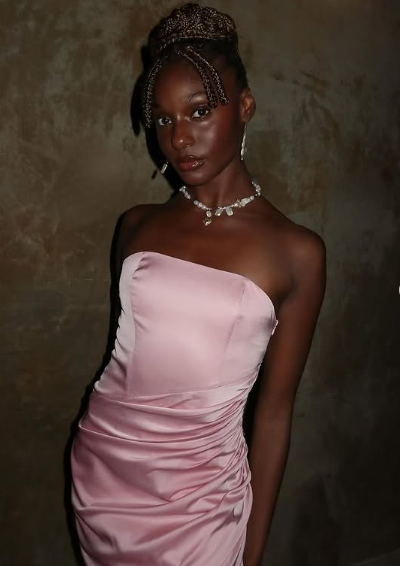 Rosa Elegantes Meerjungfrau Abendkleid Trägerloses Plissee Ballkleid Y8126