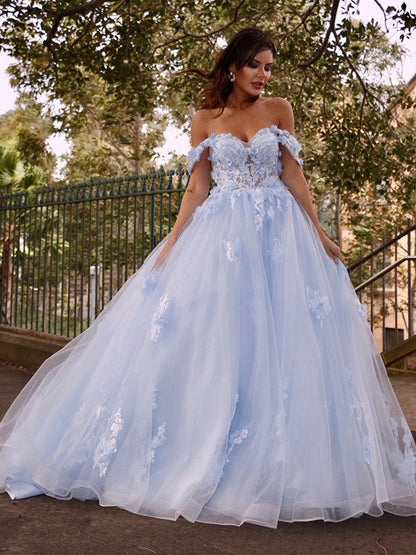 Ballkleid Tüll Applikationen Off-the-Shoulder Ärmellos Ballkleider