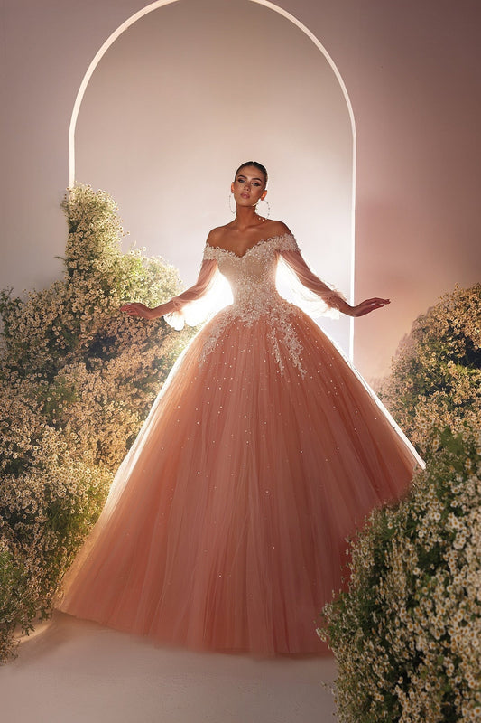 Schöne Ballkleid Tüll Spitze Herzausschnitt Langarm Ballkleider Mit Perlen