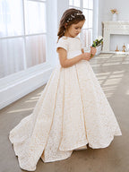 A-Linie Spitze Sweep Zug Elfenbein Kleid (010146744) 