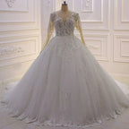 Elegant Princess A-line Tulle V-neck Lace Wedding Dress With Long Sleeves