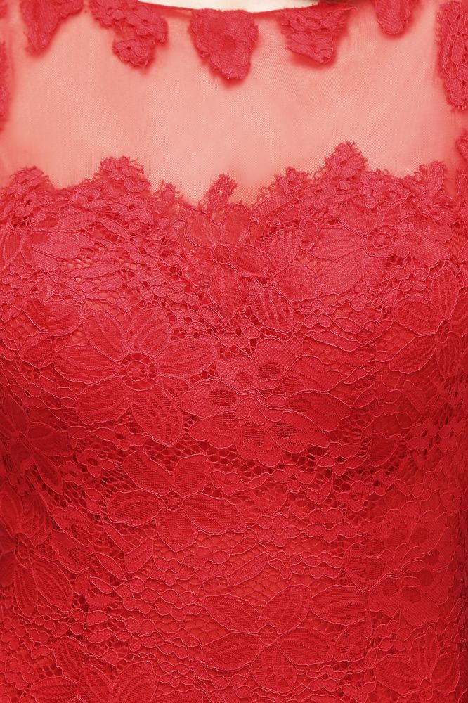 Floor Length Mermaid Illusion Neckline Sleeveless Tulle Lace Prom Dresses