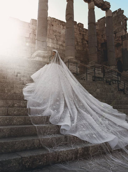 Gorgeous Beading Floral Bridal Wears Sheer Neck Long Sleeves Princess Wedding Dress