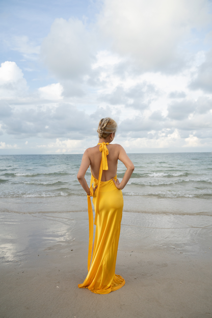 Alleta Silk Dress Gown