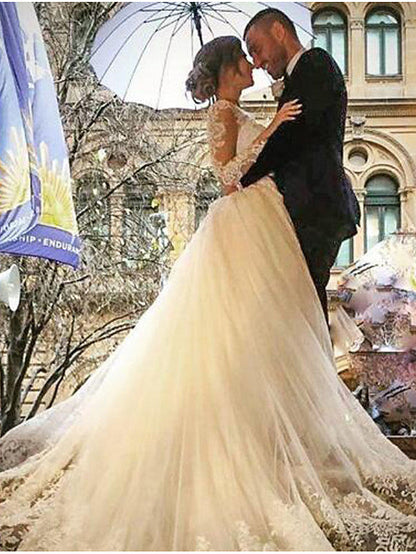 Long Mermaid V Neck Sweep Brush Train Lace Tulle Wedding Dresses with Sleeves