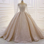 Luxuriöses A-Linien-Brautkleid mit Spitze und Pailletten und langen Ärmeln