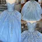 Vestido de quinceañera azul de Winter Wonderland, vestido de tul azul con encaje Y674