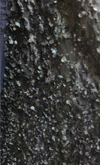 Im Angebot, keine Rückgabe, keine Rückerstattung. Elegantes Abendkleid aus Tüll mit ärmellosen kleinen Blumen, Abendkleid HA2064
