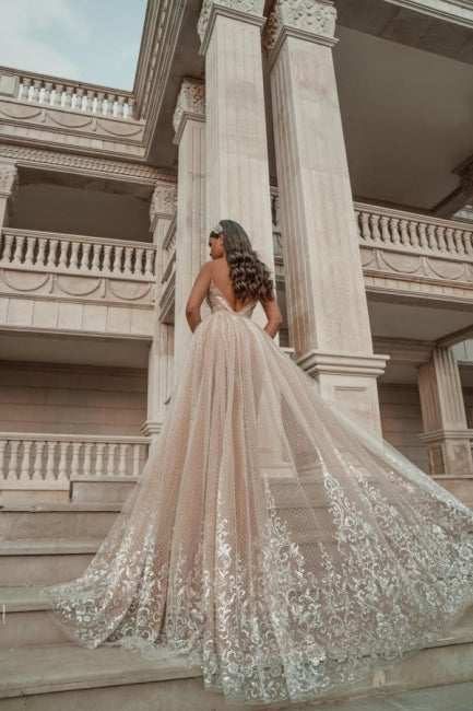 Stylish Sleeveless V-Neck Evening Party Dress Aline Backless Prom Dress with Lace Appliques