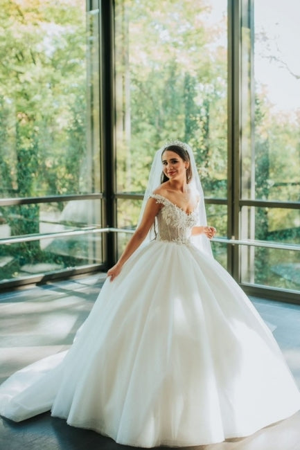 Vintage Princess Off-the-shoulder V-neck Sleeveless Lace Wedding Dresses